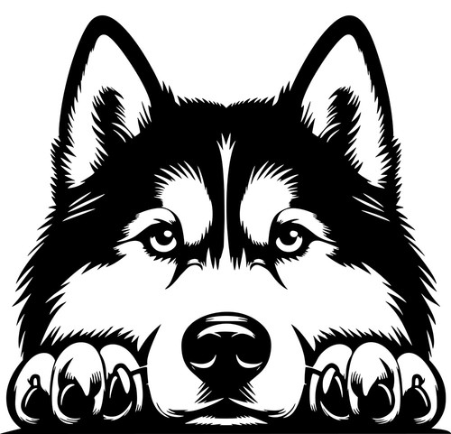 Siberian husky aufkleber - siberian,