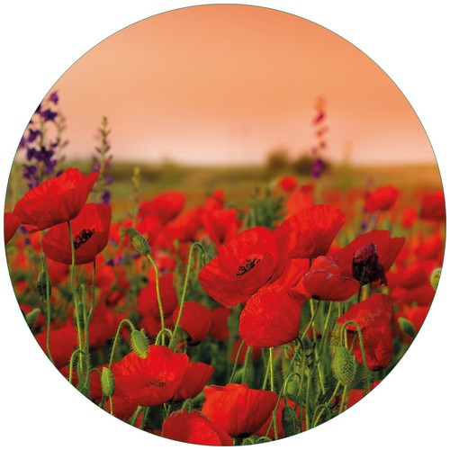 Wallario premium glasbild - wallario,