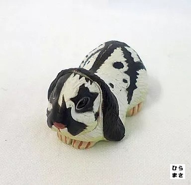 Schuppenohr kaninchen schwarz - kaninchen,