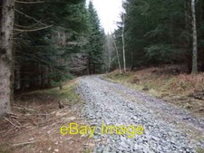 Foto 6x4 Holzfällergleis Marywell\/NO5896 Zugang zu Sluie Woods von fast c2007