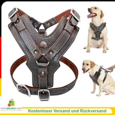 Leder Hundegeschirr für