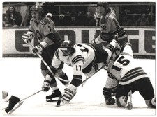 Fotografie Eishockey, DEL Spiel Rosenheim vs Düsseldorfer EG, Georg Kink, Hinte 