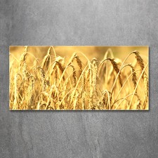 Glas-Bild Wandbilder Druck auf