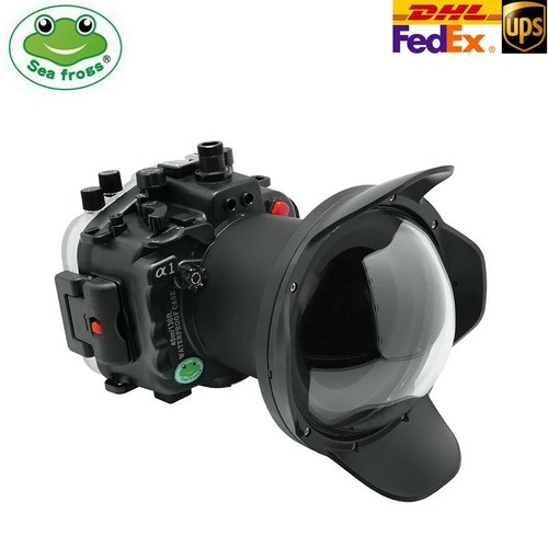 Seafrogs 40m underwater - seafrogs,