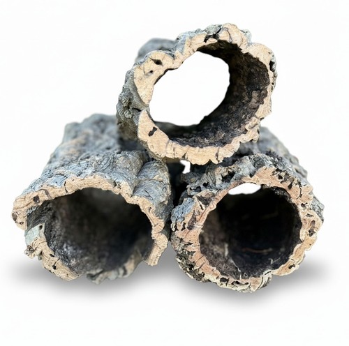Korkröhren für terrarium - korkröhren,