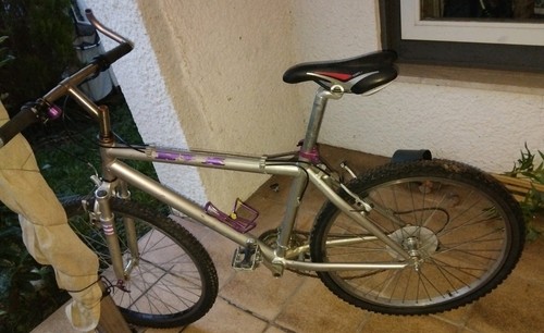 Mountainbike rex mtb - mtb, alloy