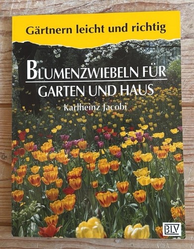 Blumenzwiebeln für garten - blumenzwiebeln, und
