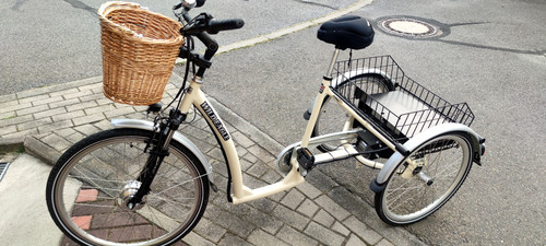 Dreirad elektro fahrrad - elektro,