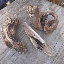 3 XL Treibholz Schwemmholz ? 36 cm Skulptur Dekoration Terrarium Sukkulenten 