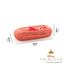 Tupperware Naschkätzchen Vesper Brotzeit Brot Snackbox Lunchbox Bunt BPA-Frei