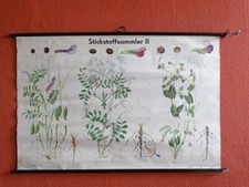 Alte DDR Schulwandkarte