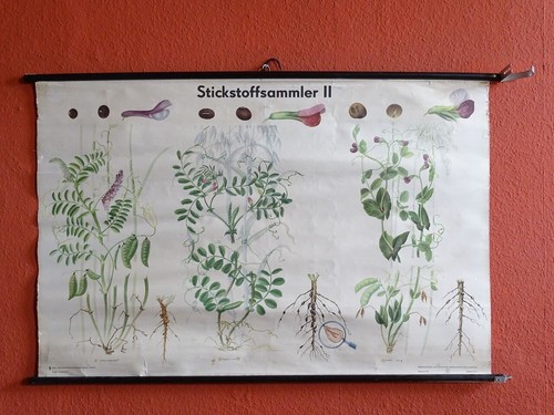 Alte ddr schulwandkarte - ddr,