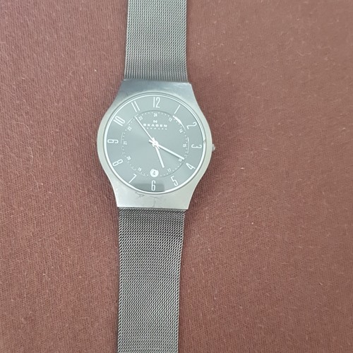 Skagen 233xlttm titan - skagen,