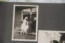 Foto ddr 1954 ziege - 1954,