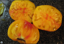 Tomaten Bio Saatgut Samen , Ananas , Florian Rigotti Selbstversorger!