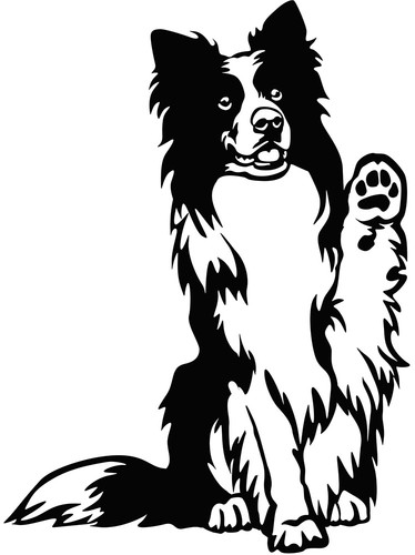 Border collie aufkleber - collie,