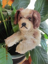 Hund von steiff cocker - von, steiff,