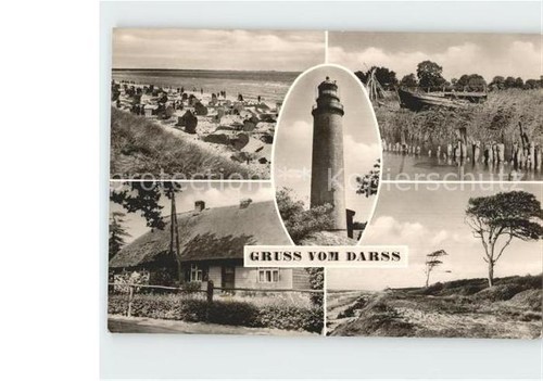 Darss region ostsee strand - darss,