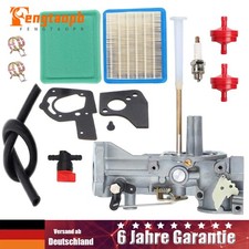 Vergaser für Briggs &