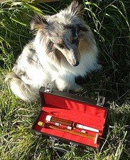 Practice Chanter, Übungsflöte für Dudelsack incl Koffer + 3 Reeds aus  Rosenholz