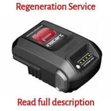 Regenerationsdienst Briggs &