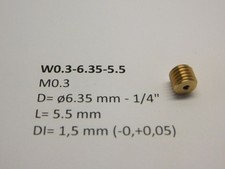 micromotor W0.3-6.35-5.5