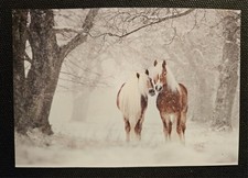 Pferdepostkarte, AK Pferde, Pferdepostkarten Bolanz Haflinger 