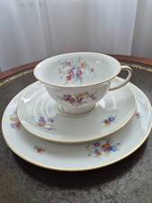 Rosenthal tee kaffee gedeck - ,