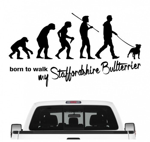 Staffordshire bullterrier - staffordshire,