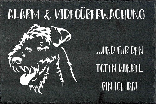 Airedale terrier - airedale,