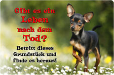 PRAGER RATTLER - A4 Metall