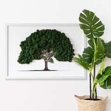 Bild mit natürlichem moos - bild,