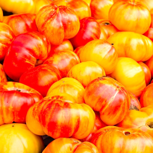 Tomatensamen - , (7+