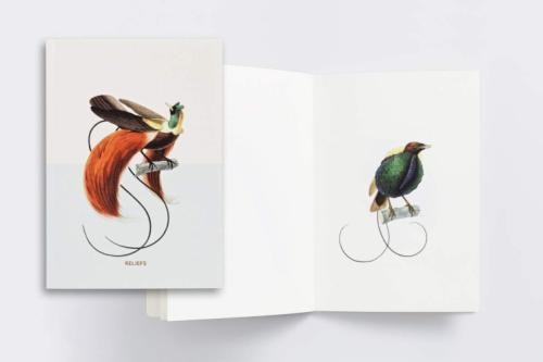 Carnet oiseaux paradis - oiseaux,