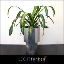 Blumentopf V2A Edelstahl -