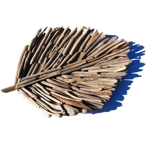 Seestern treibholz deko blatt - seestern,