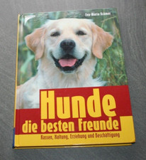 Hunde, die besten Freunde