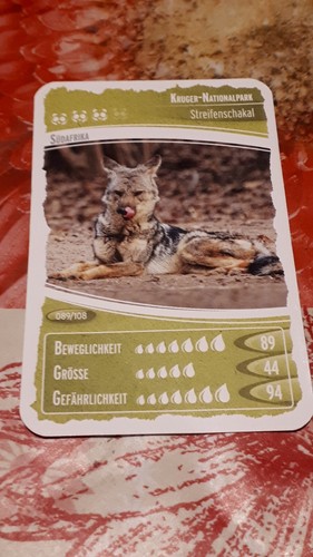 Ozeanien schätze unseres - , 7