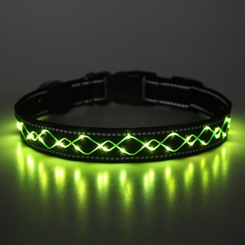 Led hundehalsband - led,