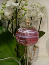 Durstkugel Wasserspender Glas Lauscha Blumentopf