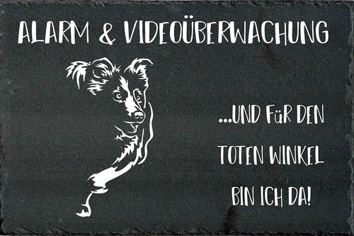 Border collie hundewarnschild - border,