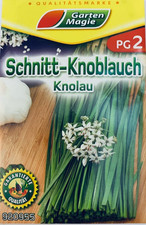 Schnittknoblauch, chinesischer