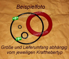 Reparatursatz/Manschette HubKolben Hydraulik Kraftheber ZF A210 Schlüter Eicher