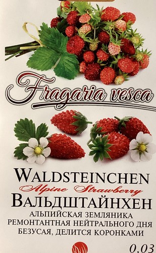 Erdbeere - 50...,
