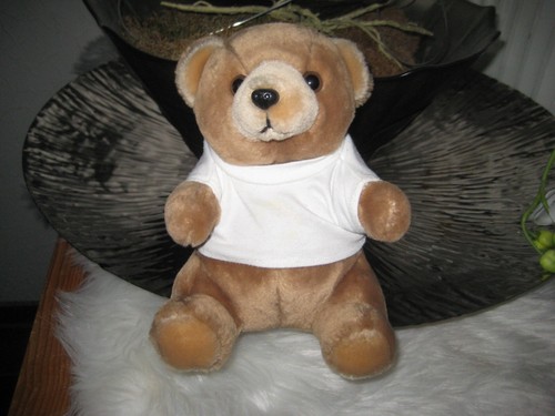 Hard rock cafe - hard, bear