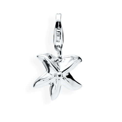 Charm seestern silber - seestern,