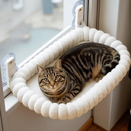 Fensterliege für katzen - für,