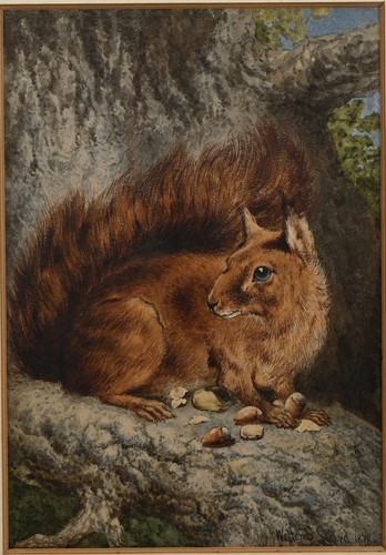 Antikes rotes eichhörnchen - antikes,