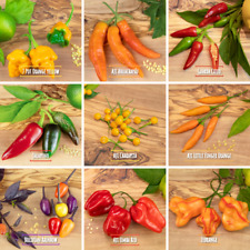 Chili Samen Mix - 100 Samen - 9 Sorten - mild bis 1Mio Scoville - frische Ernte