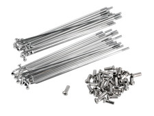 Set speichen mit - speichen, nippel,
